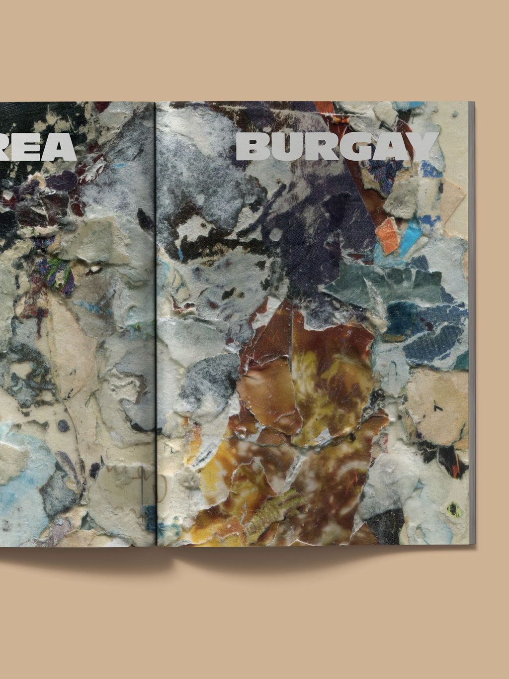 Phantom Tigers &amp; Parallel Papers Exhibition catalog