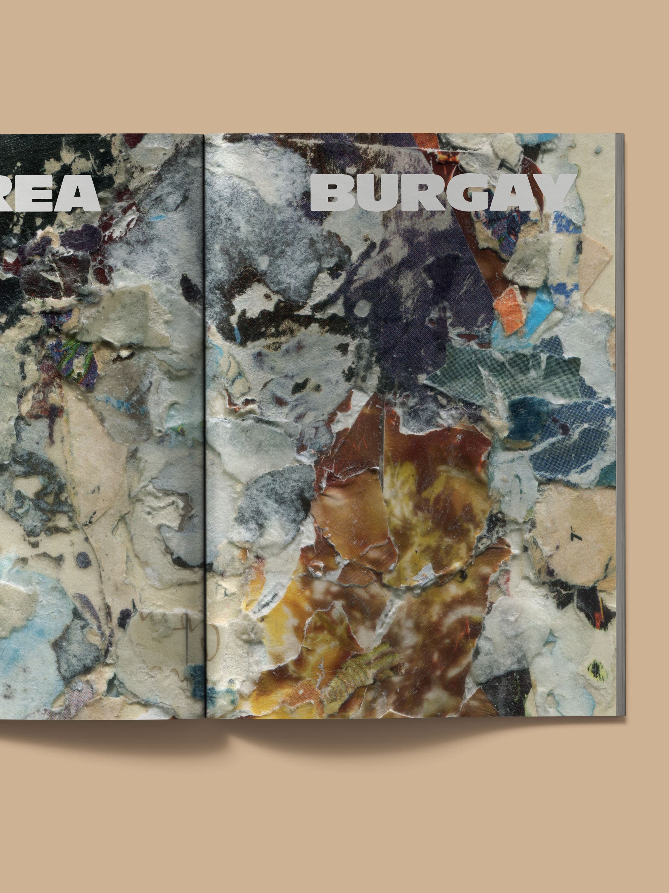 Phantom Tigers &amp; Parallel Papers Exhibition catalog