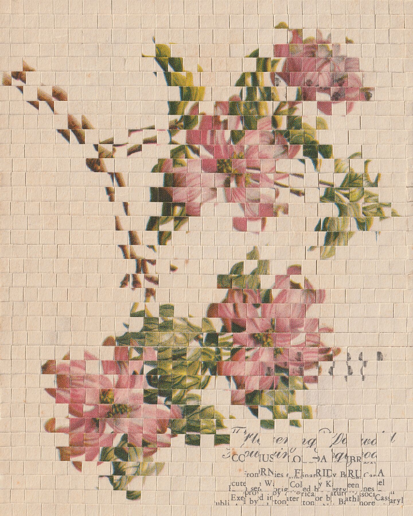 Floral 01 (2025) archival pigment print by Susana Blasco, from antique postcard collage, 5.3×3.1 in; 4 sizes, edition varies